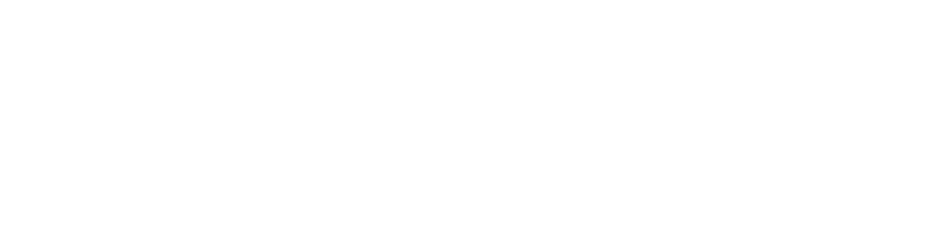 PineCode – Custom Web & App Development for Sports and Beyond